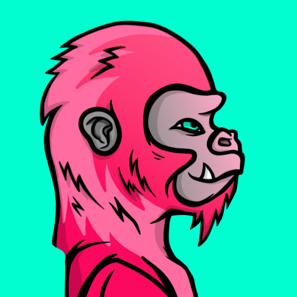 Mason $UFD 🦄💨✨ tweet media