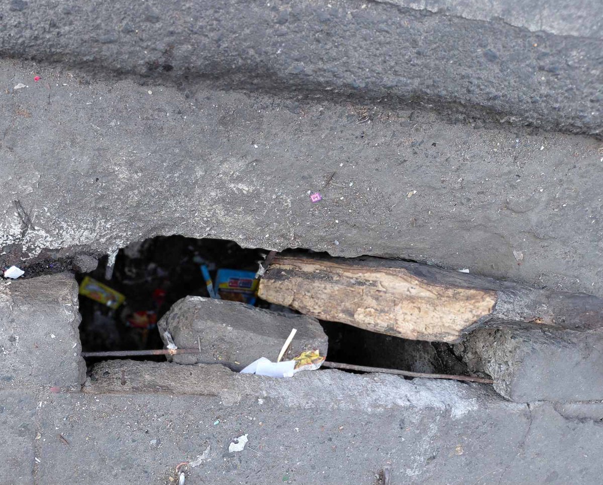 Coconut Block tweet media