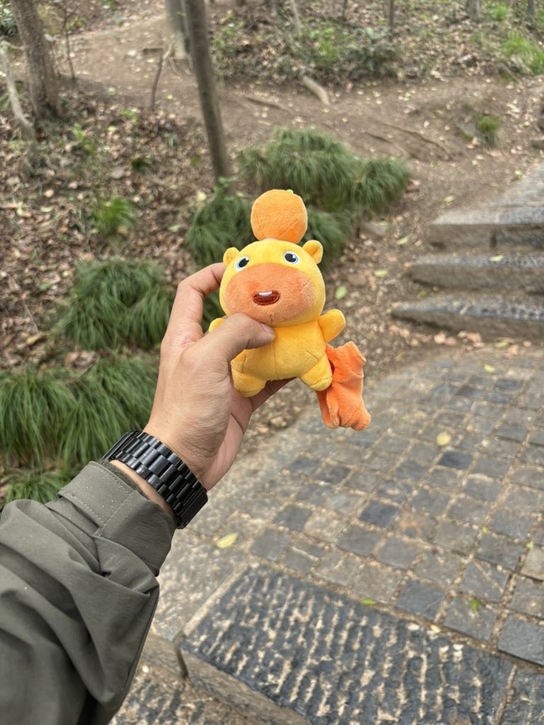 大吉吉利利樊富贵 tweet media