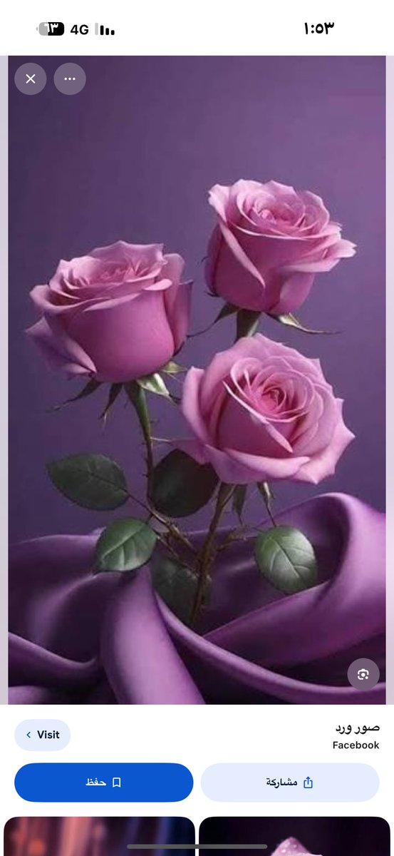 sAdujadaa's tweet photo. صباح تملؤه السكينة والرضا، صباح تتنفس فيه أرواحنا أملاً ورجاءً: اللهم اجعل هذا الصباح بداية خير، واملأ قلوبنا بنور اليقين، واغفر لنا، وارزقنا سعادة لا تزول ." https://t.co/hnX6qjWC7n