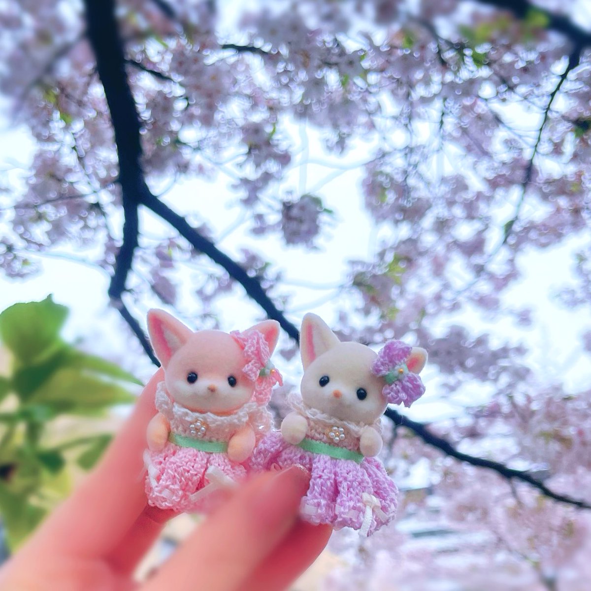 ななせち tweet media