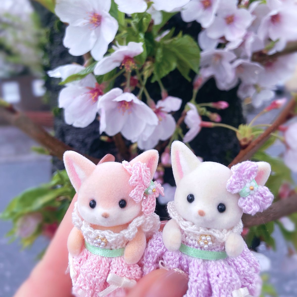 ななせち tweet media