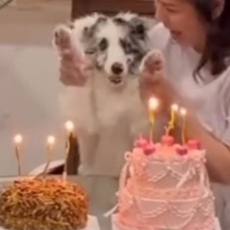 muffinp🧁 tweet media