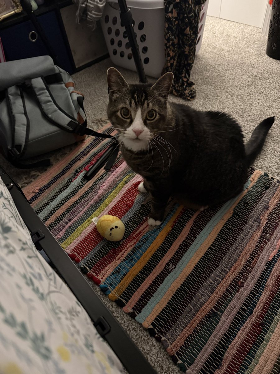 boots 👢 tweet media