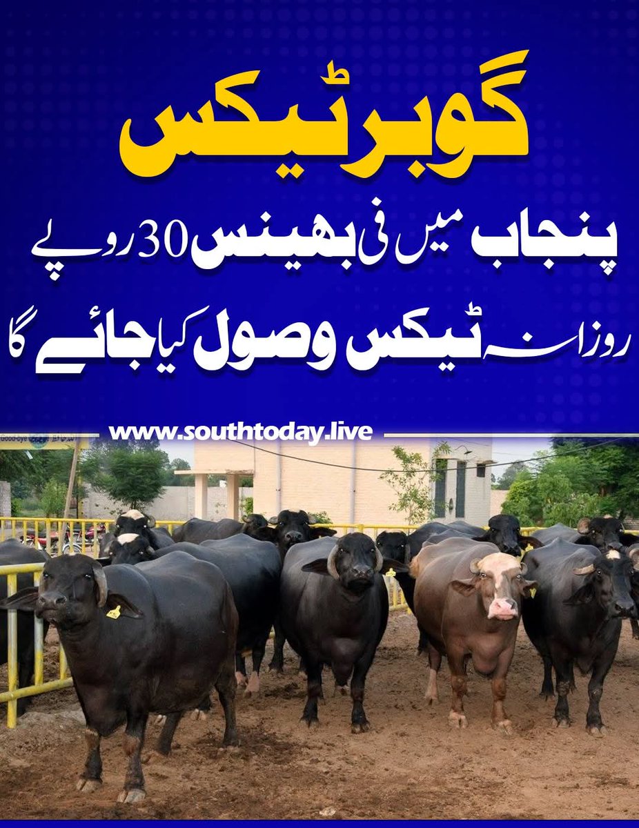 𝕏 Huma𝕏 tweet media