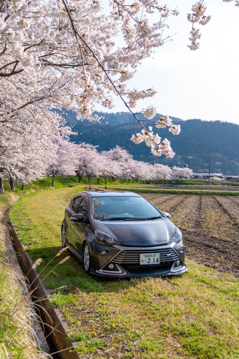 めーでん tweet media