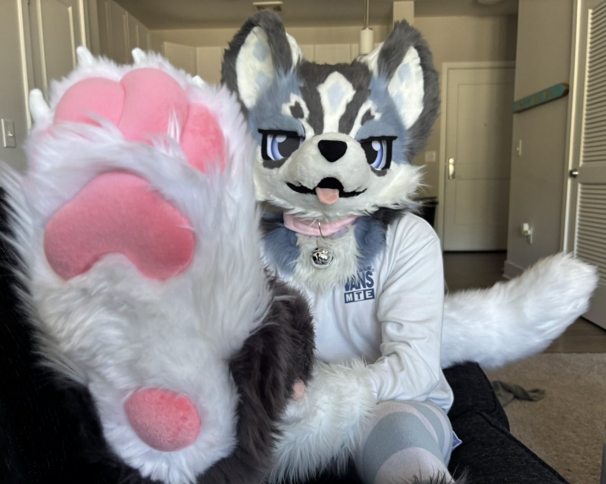 Kenai :3 🔜 AC tweet media