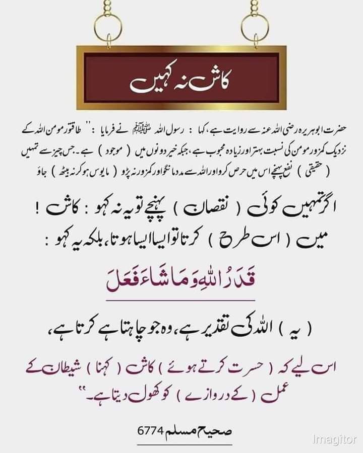 محمد فاروق خان tweet media