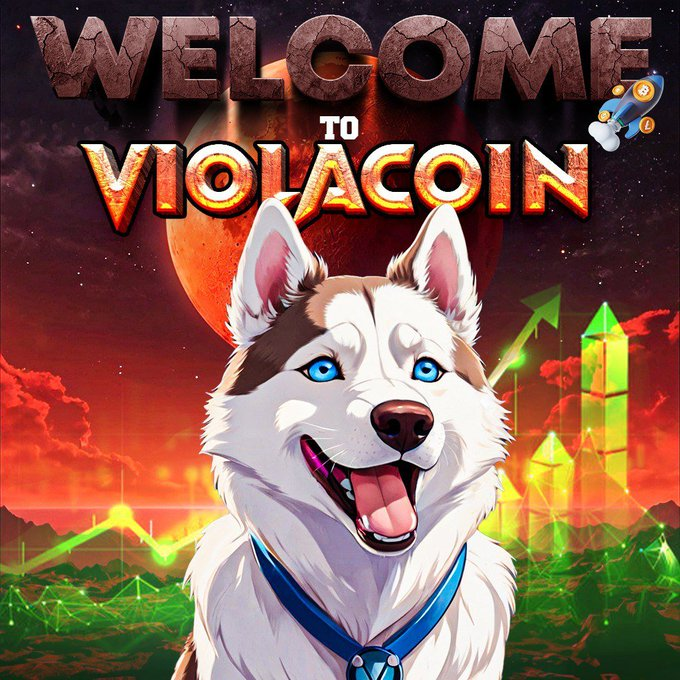 ViolaDogSol's tweet photo. The most beautiful dog🐾 A Viola with a❤️for foster care and adoption. Proceeds from yearly calendars donated to help foster kids. https://t.co/9tIcAg24Qb