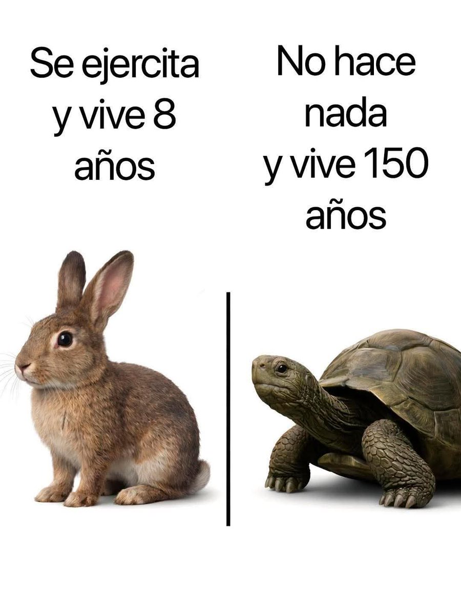 𝕮𝕬𝕭𝕬𝕷𝕷𝕰𝕽𝕺 🖤 𝕹𝕰𝕲𝕽𝕺 tweet media