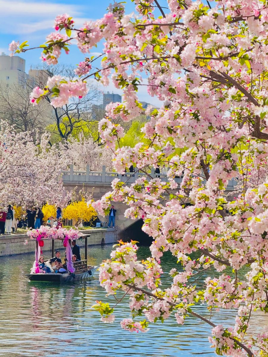 当初的我们～ tweet media