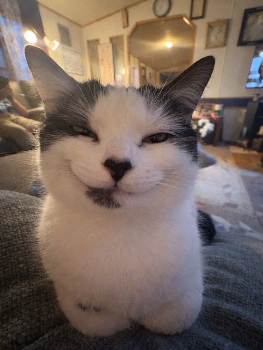 marathonaire tweet media