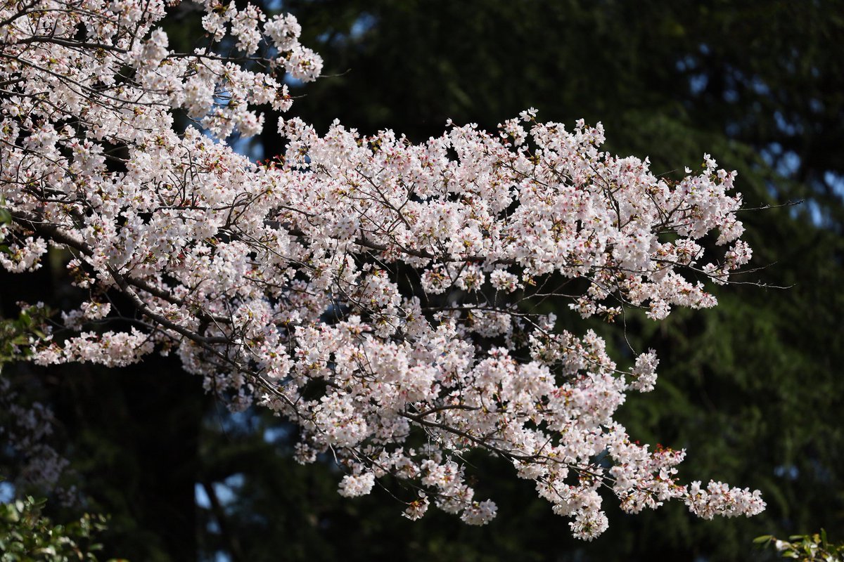 けいと@オフ新規× tweet media