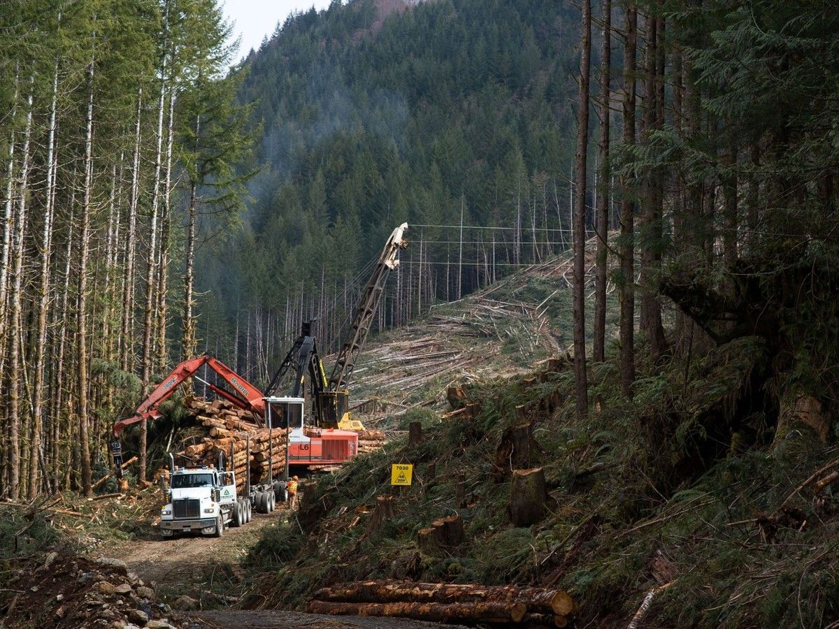 The Province tweet media