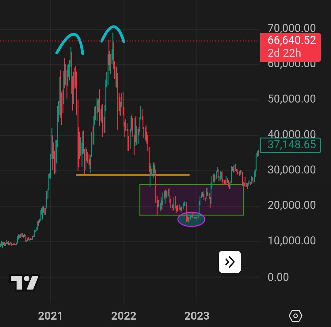 Good2go 🍊🚀🌟 tweet media