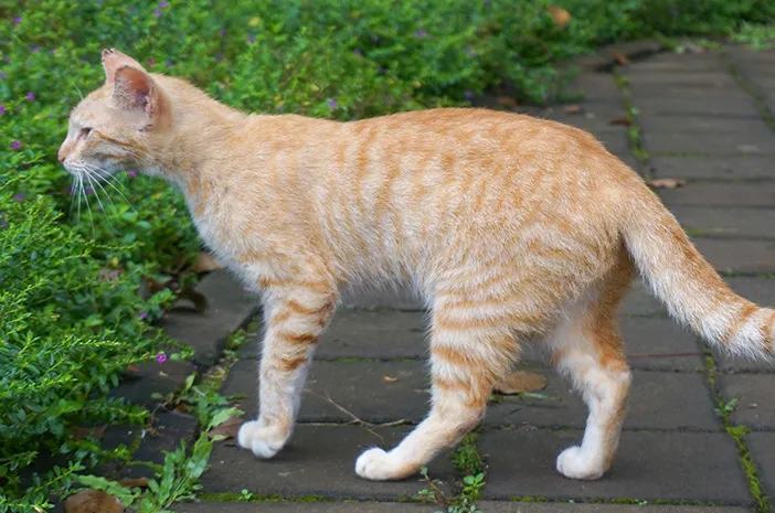 folkative tweet media