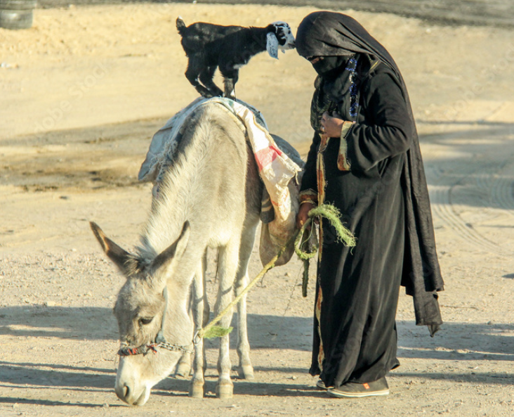 Timoy 🧩 tweet media