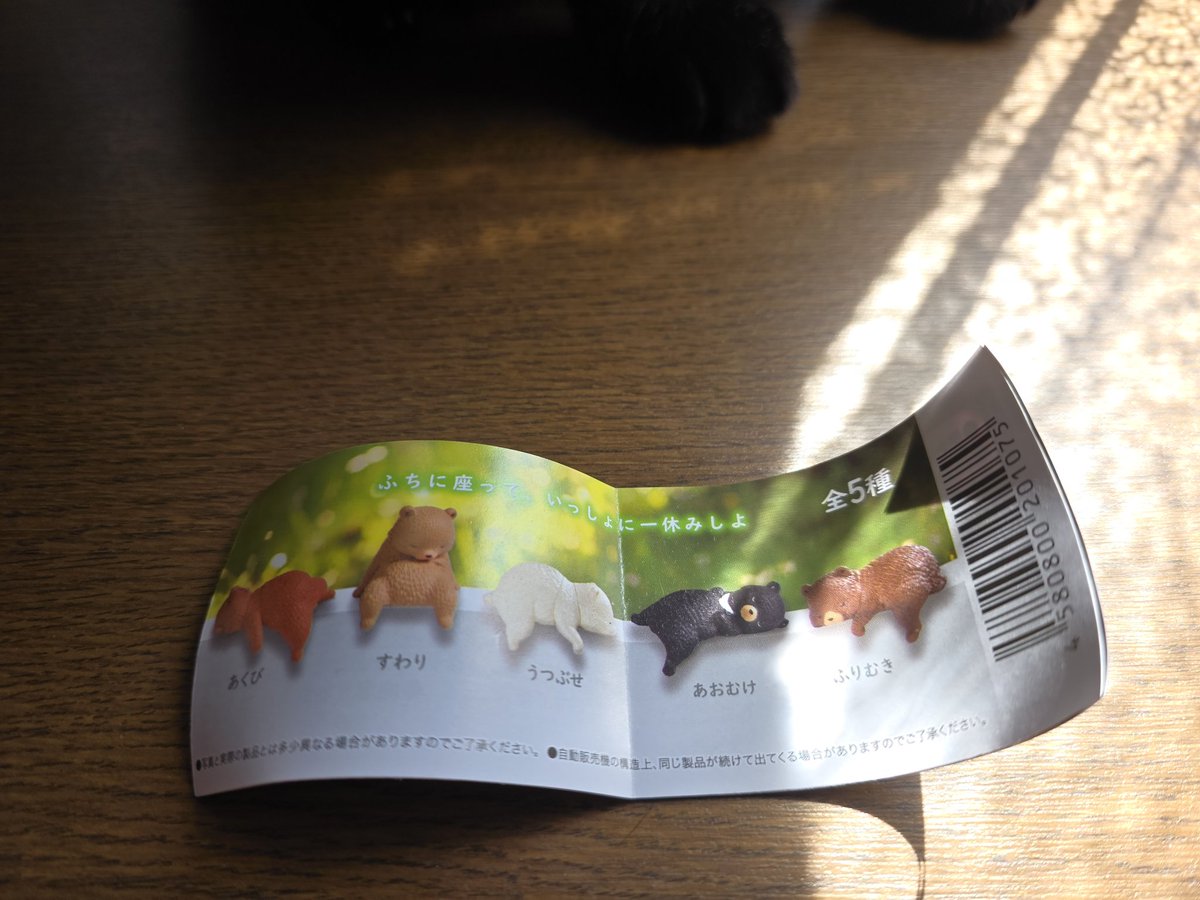 アオ🐕🐈‍⬛ tweet media