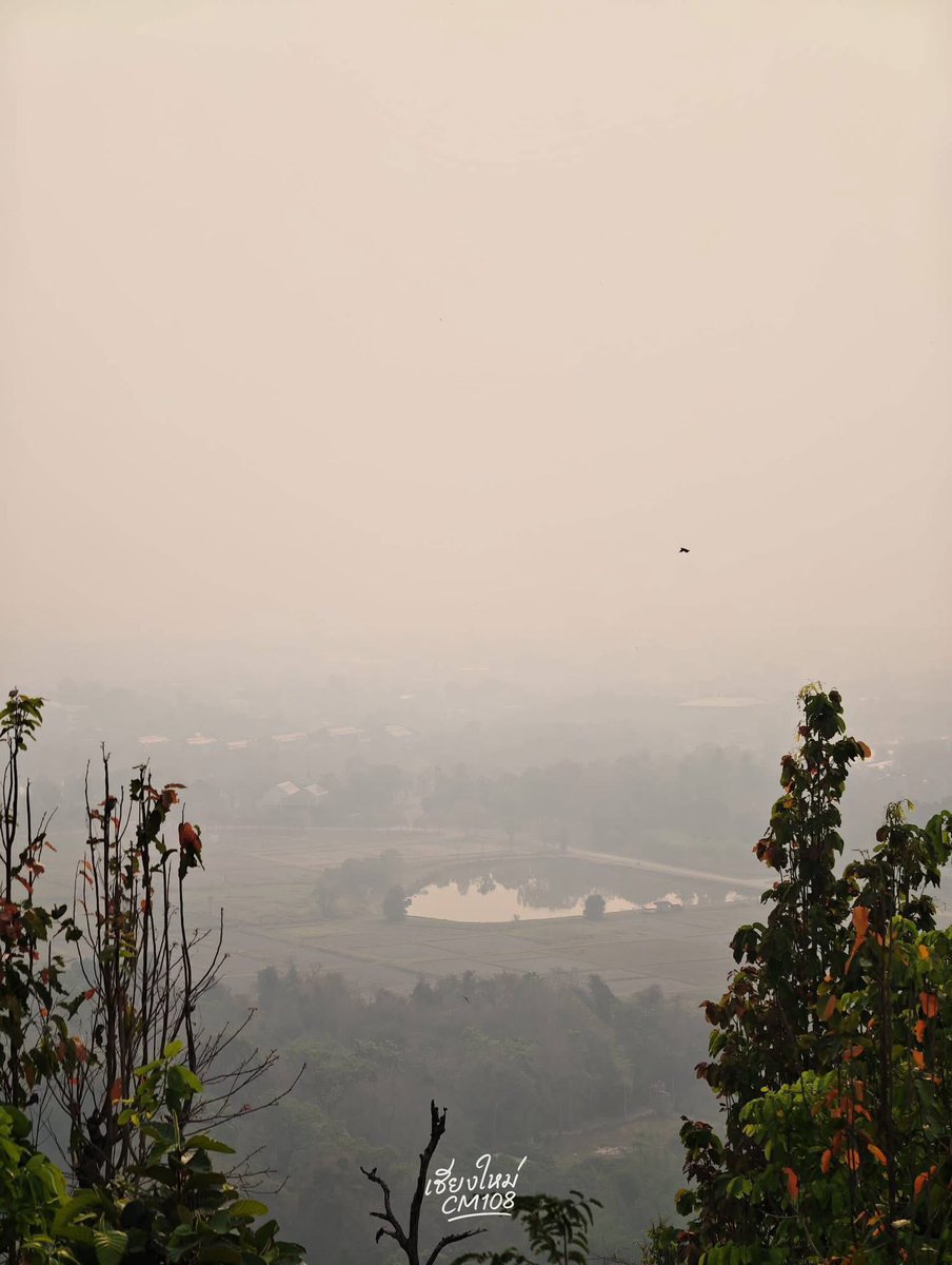 ୧⋆˚มอกอ𐙚 ft.🐰🦆 tweet media