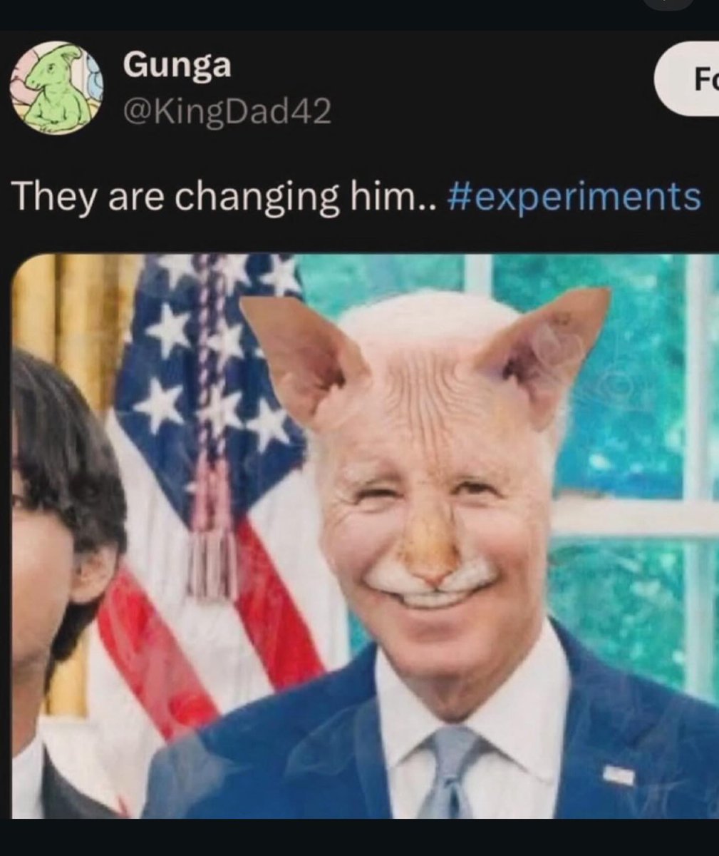 brainrot dimension tweet media