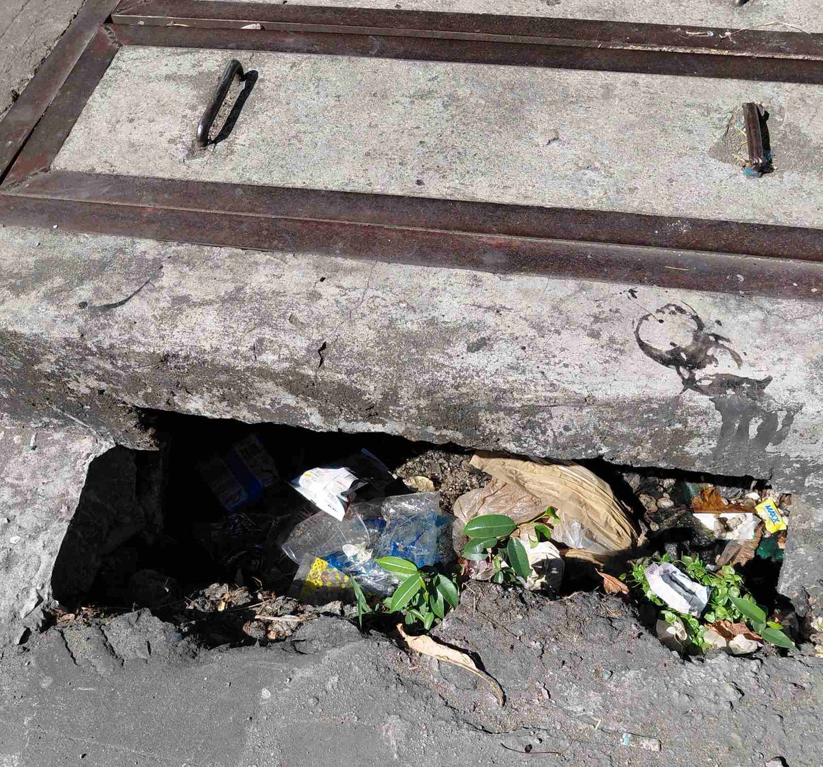 Coconut Block tweet media