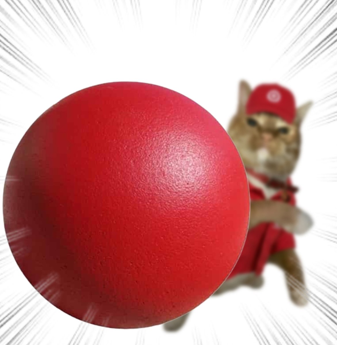 Throwing Things Daily tweet media