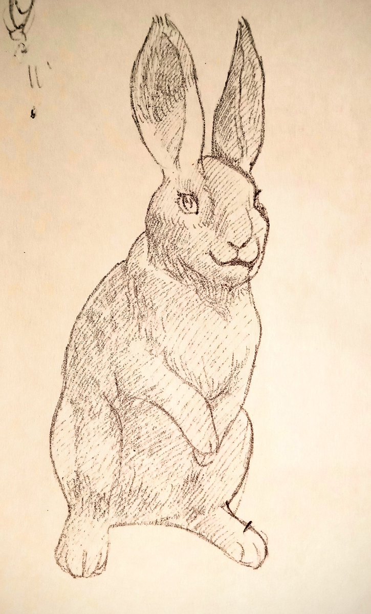 Professional daydreamer 🍉 tweet media