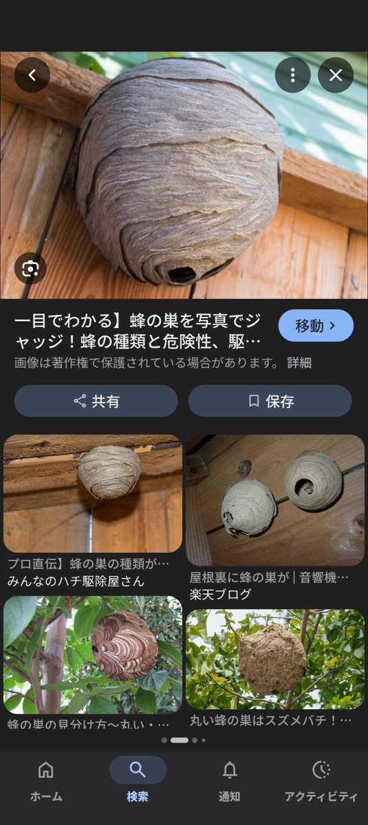 ちゃみこ社長 tweet media