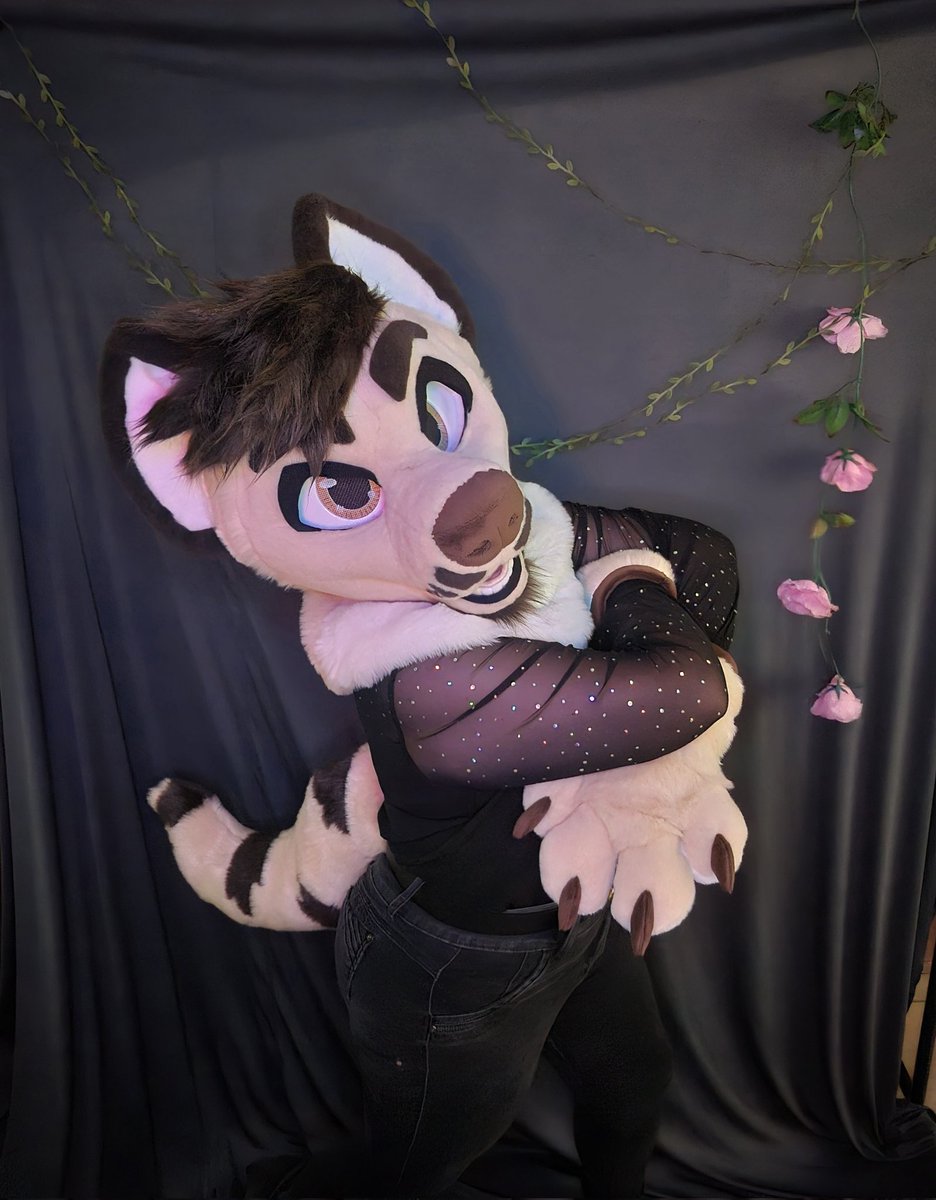 SuitcheesF's tweet photo. A beautiful hyena finished
#furmaker #FURFUR #furrysuit #fursona #fursufter #fursuft #fursuiter #furryfriends #furrycommunity #furryconvention https://t.co/Ent7INd4JW