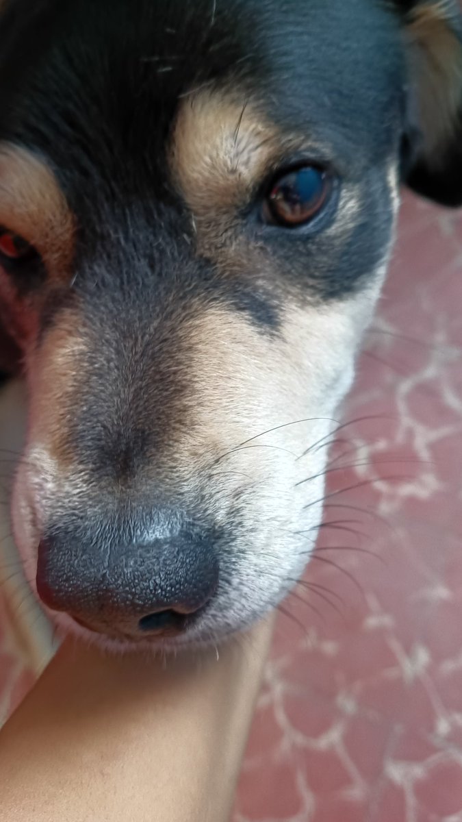 Monica Roldan tweet media