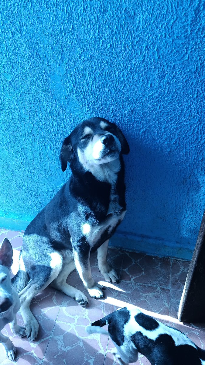 Monica Roldan tweet media