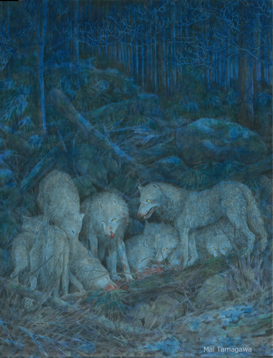 玉川麻衣 tweet media