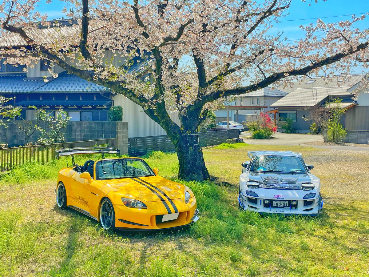 シオン様/白青FD3S 🌽 🌸☄️ 🐑🌂 tweet media