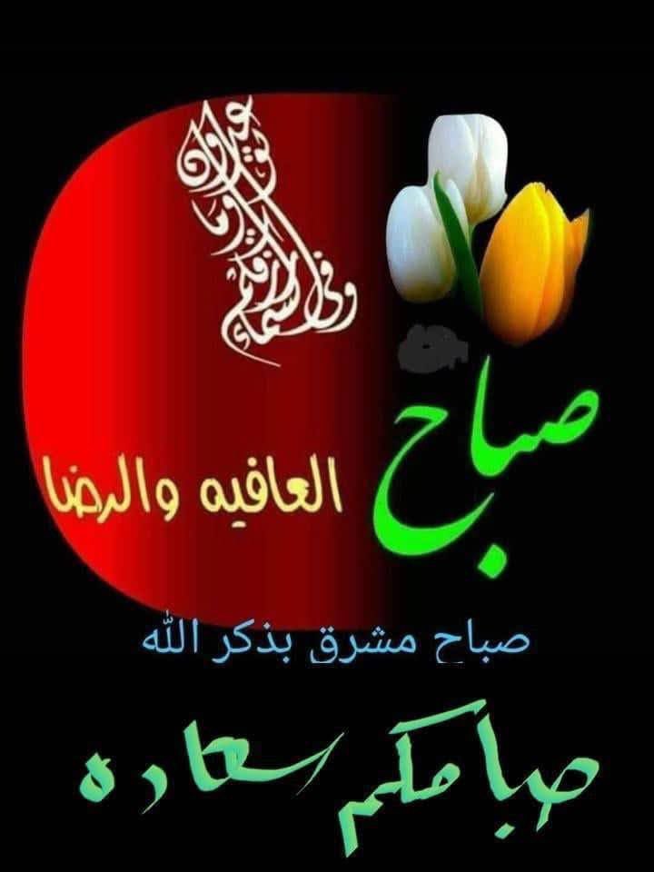 سكيت السكيت (الوافي) tweet media