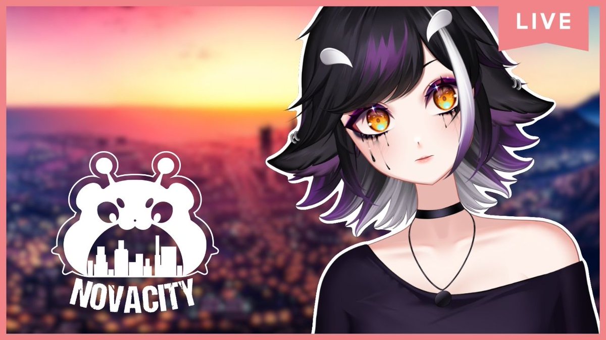 Sachigami 🐳 tweet media