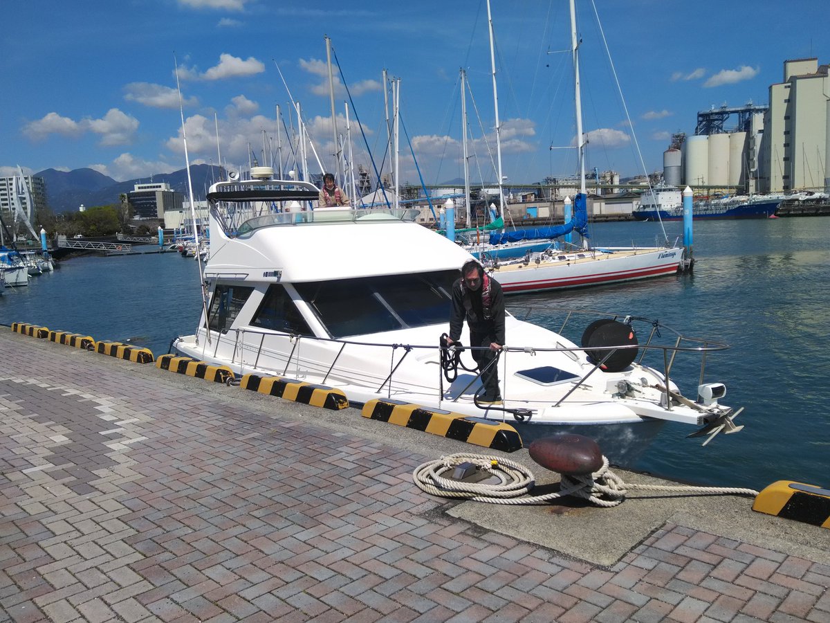 デスクロス 稲 (今年はザンザス乗る) tweet media