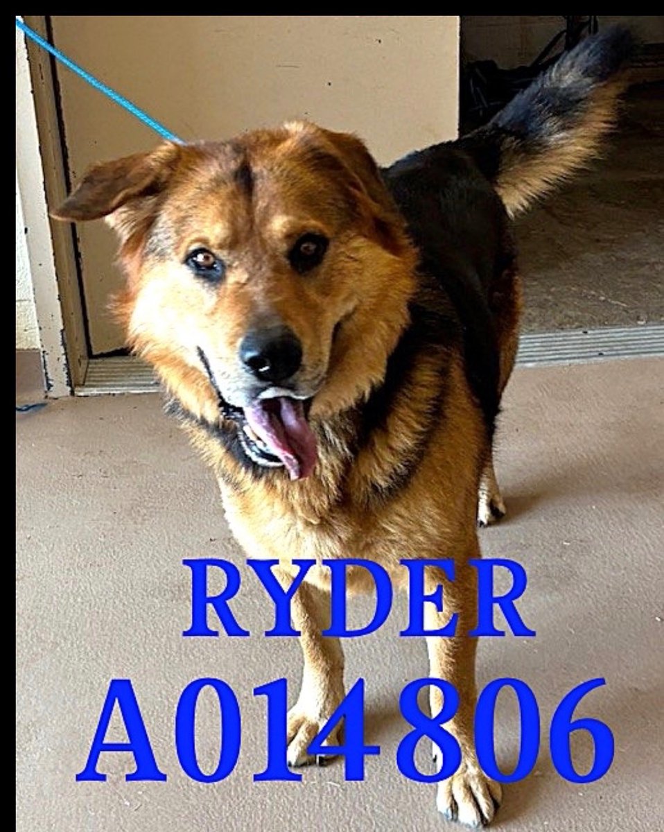 Fionaismybitch tweet media