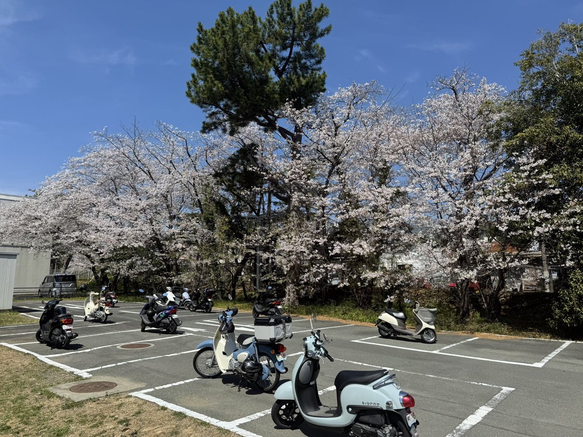 木谷友哉 / Tomoya KITANI (静岡大学 情報学部 広報委員長 / 情報科学科) tweet media