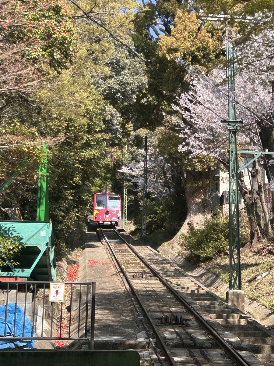 MayaViewline's tweet photo. 本日(4/3)春色の摩耶ケーブル🌸

#神戸 #摩耶山 #春 https://t.co/Xk6QC5l86o