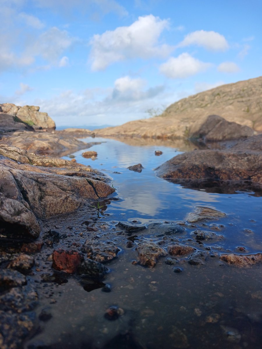 it 🧊 📧 tweet media