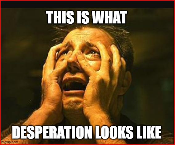 Michael Stevenson tweet media