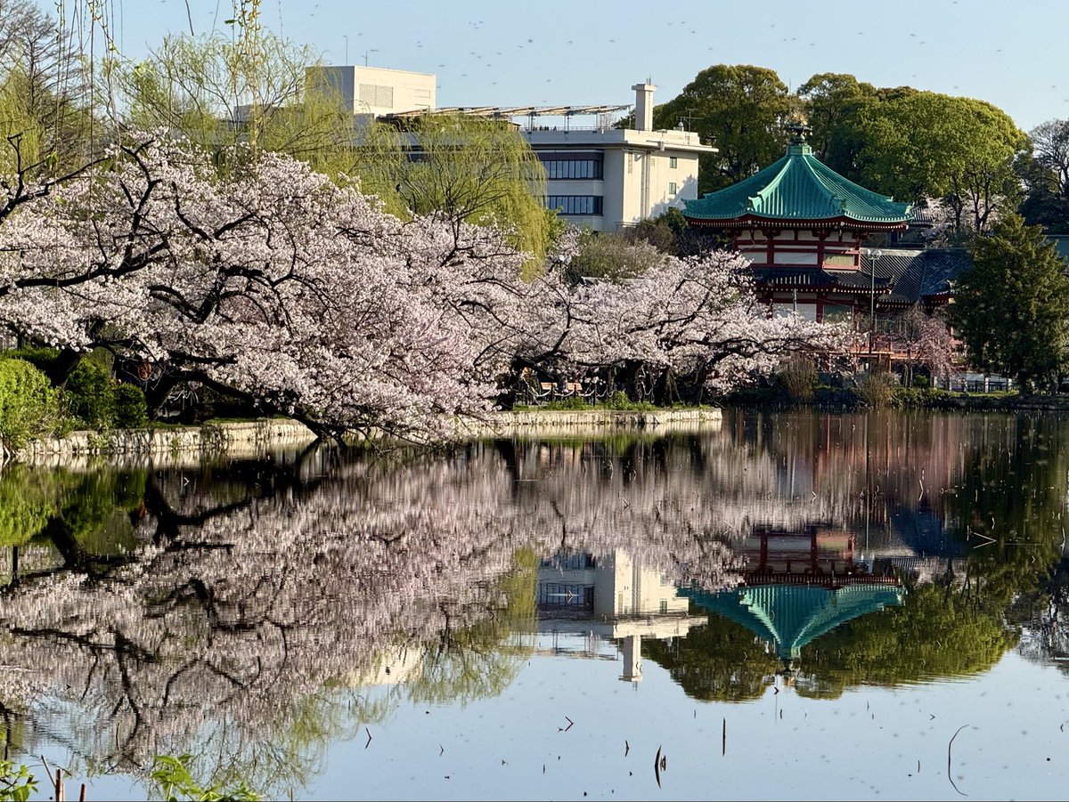 meru0625 tweet media