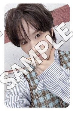 포키.ᐟ tweet media