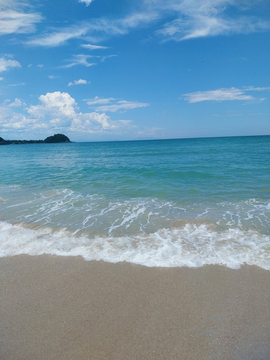 polly 🪭 ARIRANG tweet media