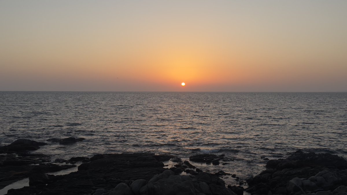 د.علي تبوك tweet media