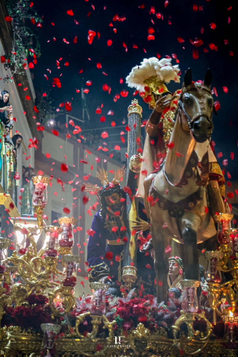 Luis Felipe tweet media