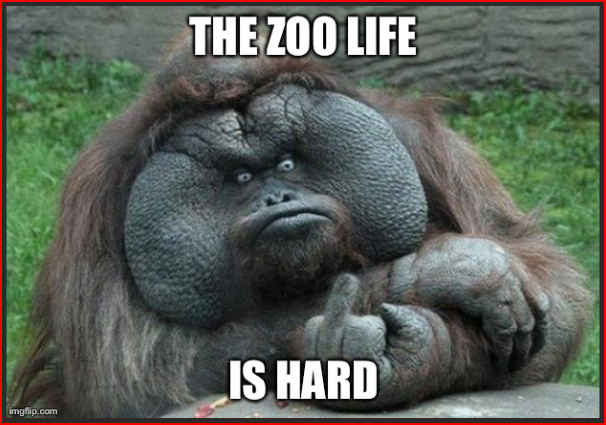 Michael Stevenson tweet media