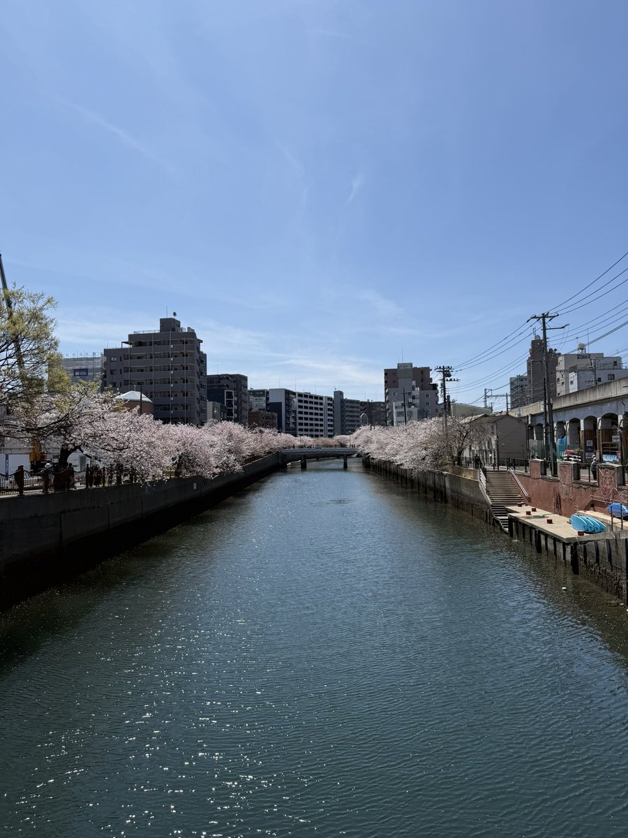 ﾉﾘｰｰｰﾝ tweet media