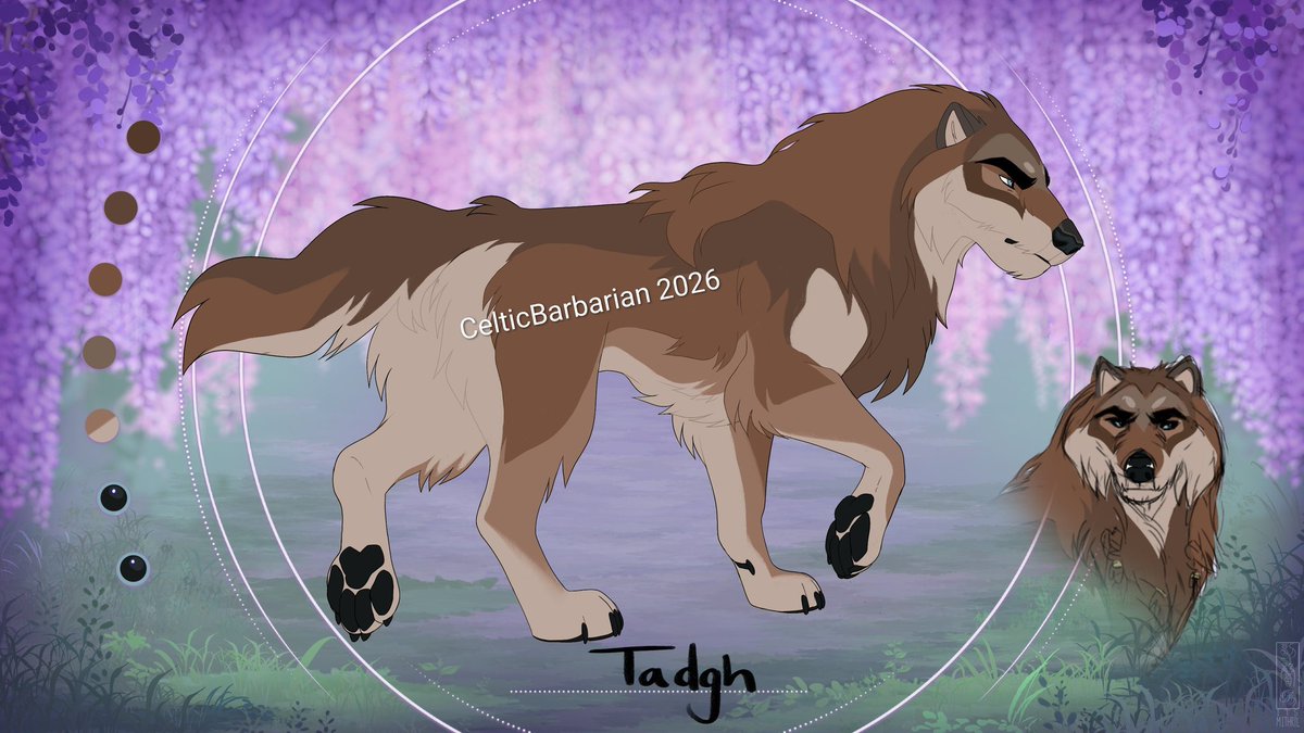 🦭🌊Cole | Ro 🔜 🍀🇮🇪 tweet media