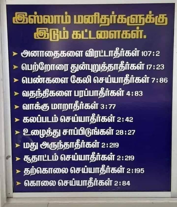 SSR 🐘 tweet media